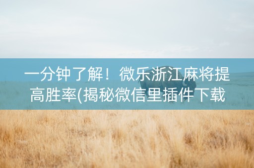 一分钟了解！微乐浙江麻将提高胜率(揭秘微信里插件下载)