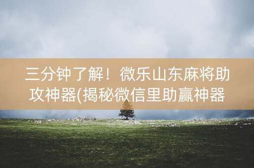 三分钟了解！微乐山东麻将助攻神器(揭秘微信里助赢神器购买)