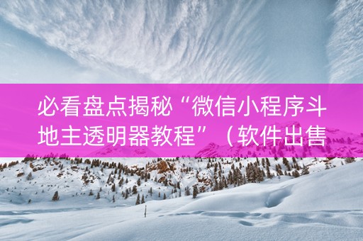 必看盘点揭秘“微信小程序斗地主透明器教程”（软件出售)