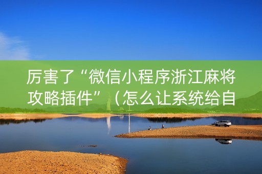 厉害了“微信小程序浙江麻将攻略插件”（怎么让系统给自己好牌)