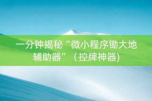 一分钟揭秘“微小程序锄大地辅助器”（控牌神器)