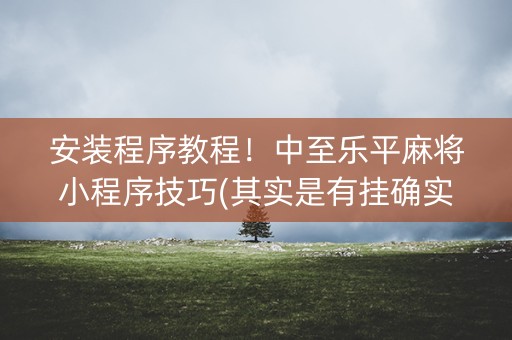 安装程序教程！中至乐平麻将小程序技巧(其实是有挂确实有挂)