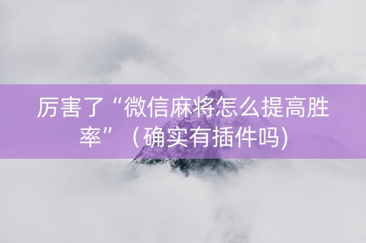 厉害了“微信麻将怎么提高胜率”（确实有插件吗)