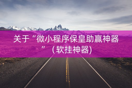 关于“微小程序保皇助赢神器”（软挂神器)