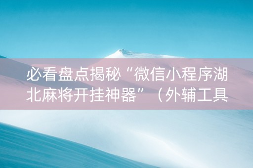 必看盘点揭秘“微信小程序湖北麻将开挂神器”（外辅工具)
