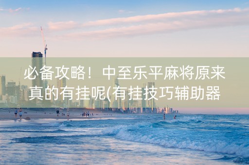 必备攻略！中至乐平麻将原来真的有挂呢(有挂技巧辅助器)