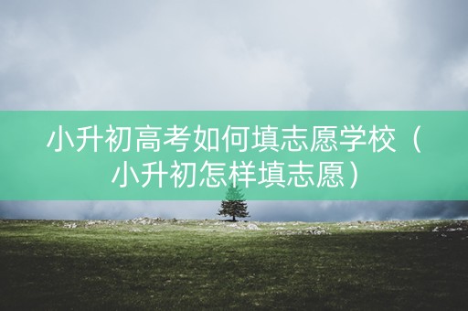 小升初高考如何填志愿学校（小升初怎样填志愿）