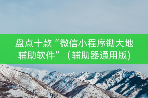 盘点十款“微信小程序锄大地辅助软件”（辅助器通用版)
