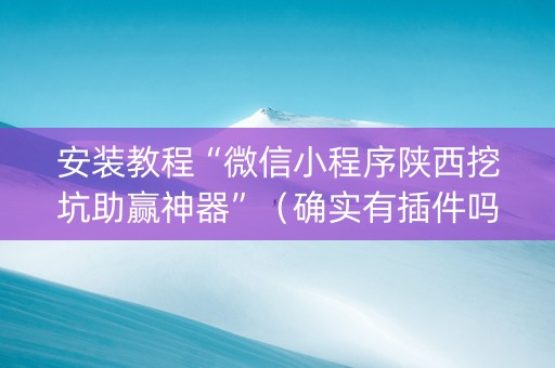 安装教程“微信小程序陕西挖坑助赢神器”（确实有插件吗)