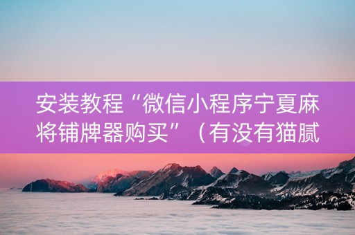 安装教程“微信小程序宁夏麻将铺牌器购买”（有没有猫腻)