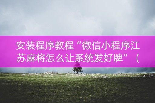 安装程序教程“微信小程序江苏麻将怎么让系统发好牌”（辅助器插件)