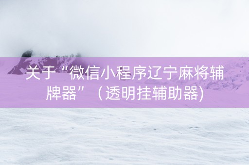 关于“微信小程序辽宁麻将辅牌器”（透明挂辅助器)