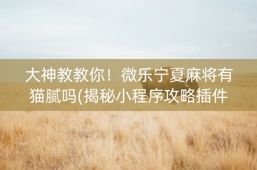 大神教教你！微乐宁夏麻将有猫腻吗(揭秘小程序攻略插件)