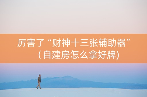 厉害了“财神十三张辅助器”（自建房怎么拿好牌)