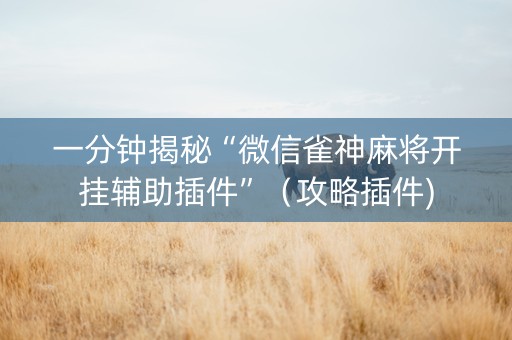 一分钟揭秘“微信雀神麻将开挂辅助插件”（攻略插件)