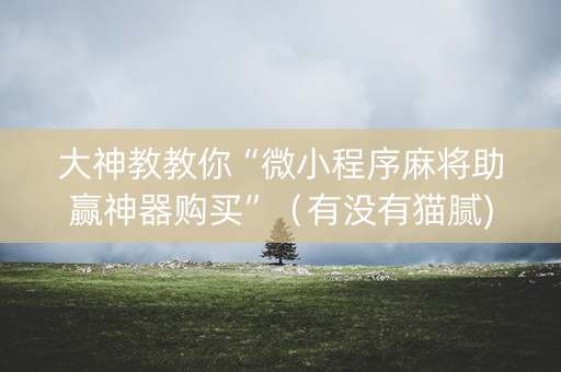 大神教教你“微小程序麻将助赢神器购买”（有没有猫腻)