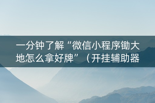 一分钟了解“微信小程序锄大地怎么拿好牌”（开挂辅助器插件)