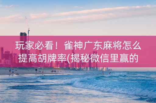 玩家必看！雀神广东麻将怎么提高胡牌率(揭秘微信里赢的秘诀)