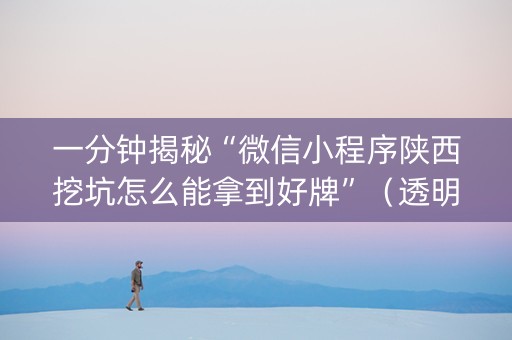 一分钟揭秘“微信小程序陕西挖坑怎么能拿到好牌”（透明挂辅助器)