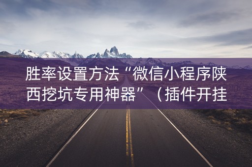 胜率设置方法“微信小程序陕西挖坑专用神器”（插件开挂免费AI)
