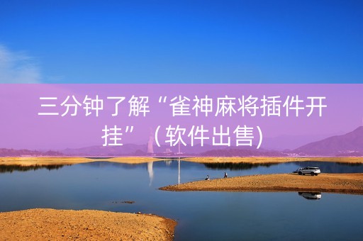 三分钟了解“雀神麻将插件开挂”（软件出售)