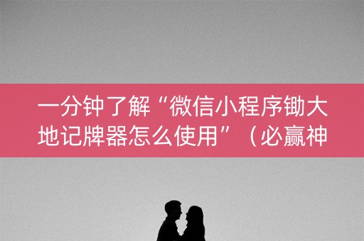一分钟了解“微信小程序锄大地记牌器怎么使用”（必赢神器)