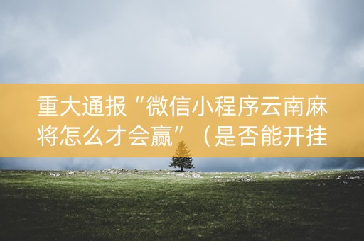 重大通报“微信小程序云南麻将怎么才会赢”（是否能开挂)