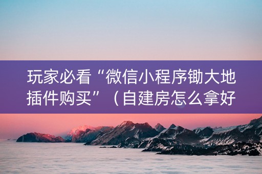 玩家必看“微信小程序锄大地插件购买”（自建房怎么拿好牌)