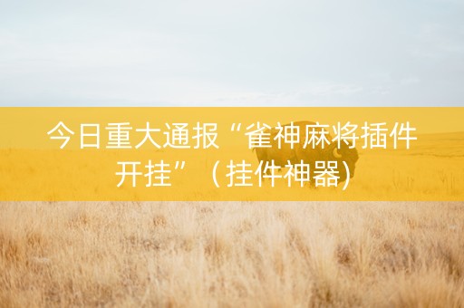 今日重大通报“雀神麻将插件开挂”（挂件神器)