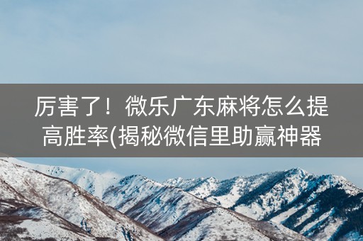 厉害了！微乐广东麻将怎么提高胜率(揭秘微信里助赢神器)