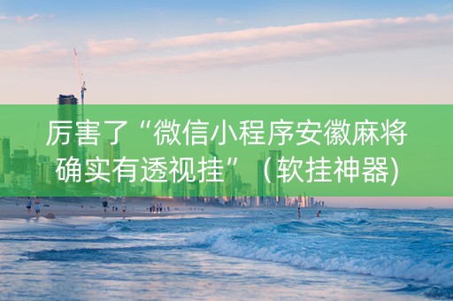 厉害了“微信小程序安徽麻将确实有透视挂”（软挂神器)