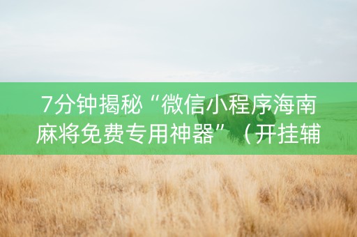 7分钟揭秘“微信小程序海南麻将免费专用神器”（开挂辅助脚本)