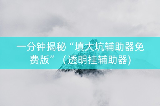 一分钟揭秘“填大坑辅助器免费版”（透明挂辅助器)