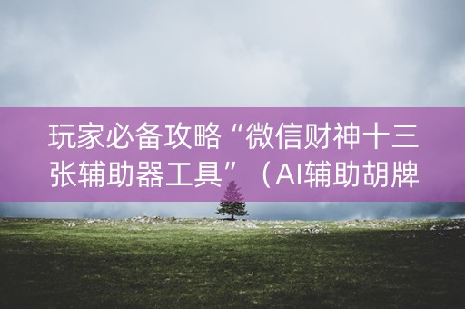 玩家必备攻略“微信财神十三张辅助器工具”（AI辅助胡牌规则)