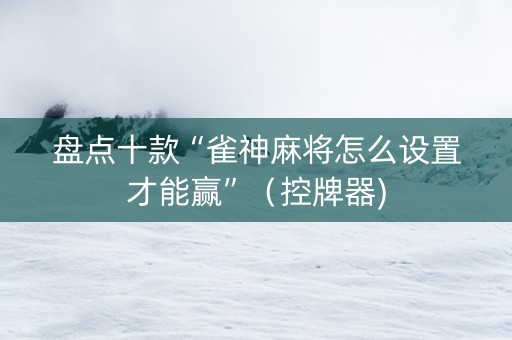盘点十款“雀神麻将怎么设置才能赢”（控牌器)