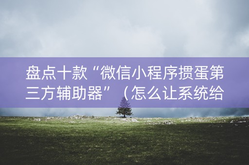 盘点十款“微信小程序掼蛋第三方辅助器”（怎么让系统给自己好牌)