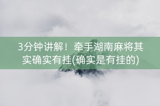 3分钟讲解！牵手湖南麻将其实确实有挂(确实是有挂的)