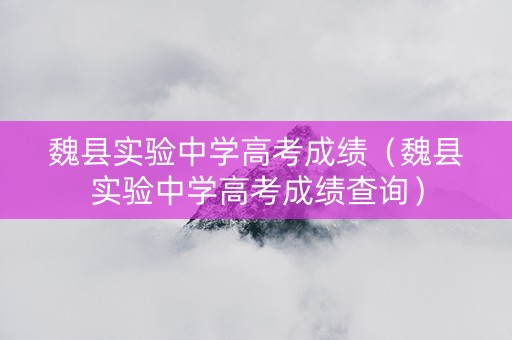 魏县实验中学高考成绩（魏县实验中学高考成绩查询）