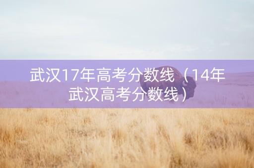 武汉17年高考分数线（14年武汉高考分数线）