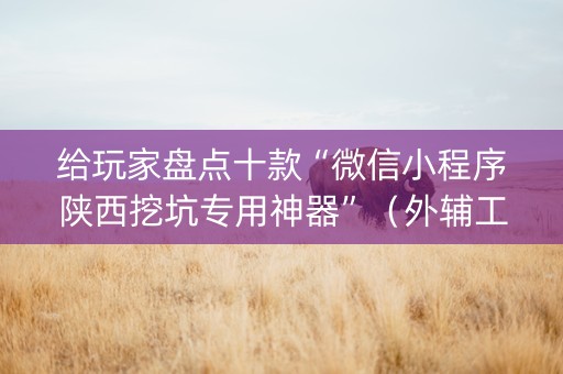 给玩家盘点十款“微信小程序陕西挖坑专用神器”（外辅工具)