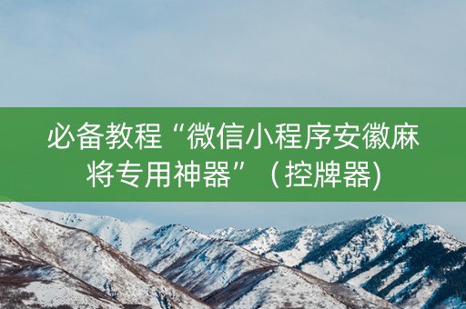 必备教程“微信小程序安徽麻将专用神器”（控牌器)