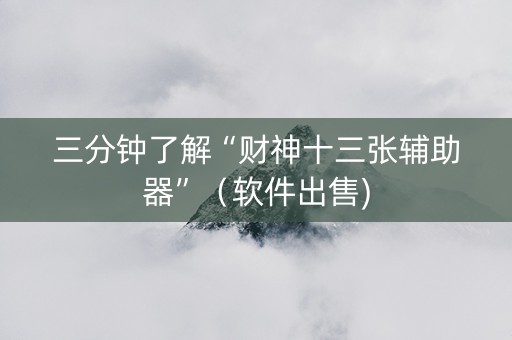 三分钟了解“财神十三张辅助器”（软件出售)
