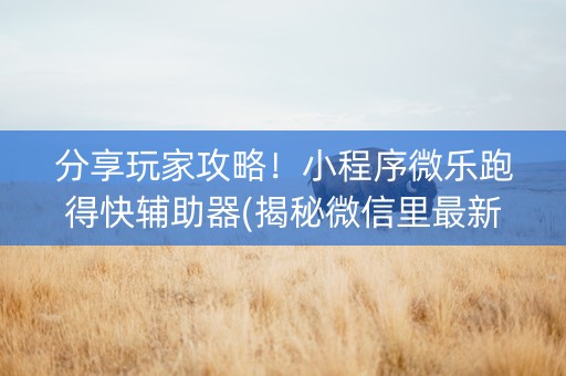 分享玩家攻略！小程序微乐跑得快辅助器(揭秘微信里最新神器下载)