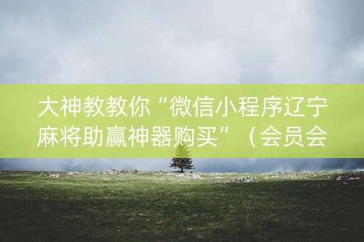 大神教教你“微信小程序辽宁麻将助赢神器购买”（会员会提高胜率吗)