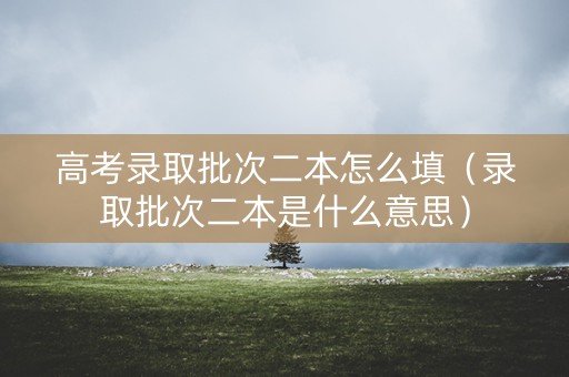 高考录取批次二本怎么填（录取批次二本是什么意思）