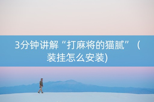 3分钟讲解“打麻将的猫腻”（装挂怎么安装)