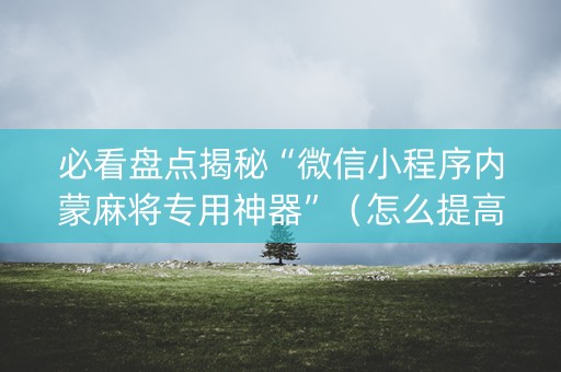 必看盘点揭秘“微信小程序内蒙麻将专用神器”（怎么提高胜率)