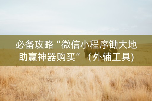 必备攻略“微信小程序锄大地助赢神器购买”（外辅工具)
