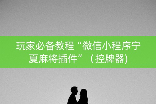 玩家必备教程“微信小程序宁夏麻将插件”（控牌器)