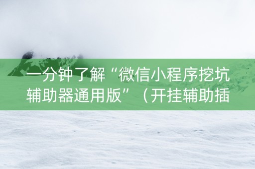 一分钟了解“微信小程序挖坑辅助器通用版”（开挂辅助插件)